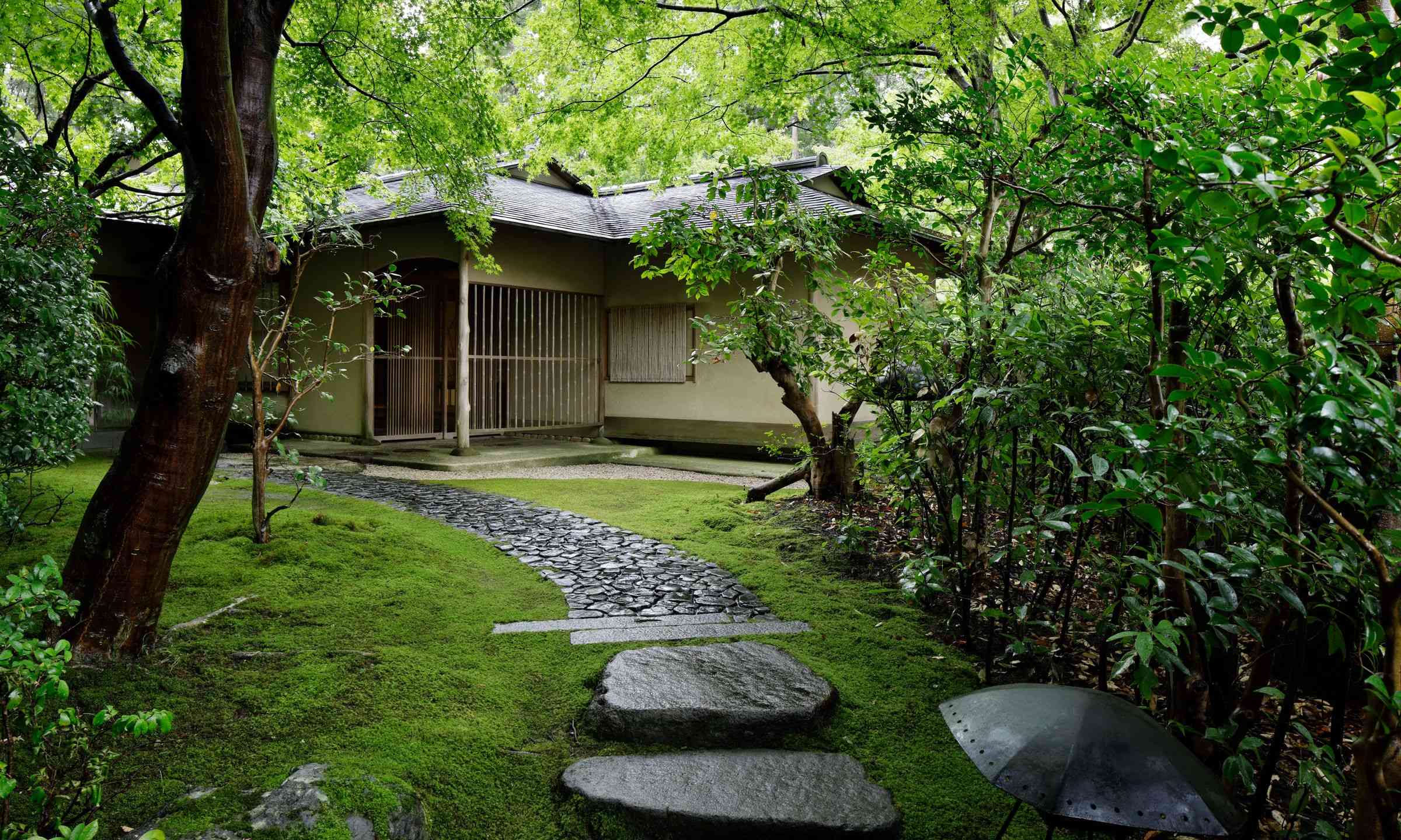 Tea Ceremony