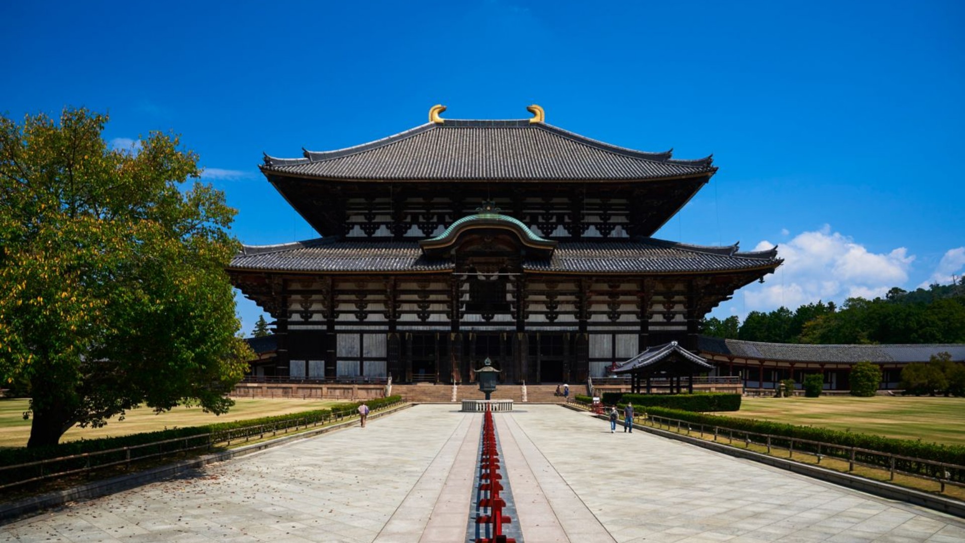 Cultural Immersion in Nara