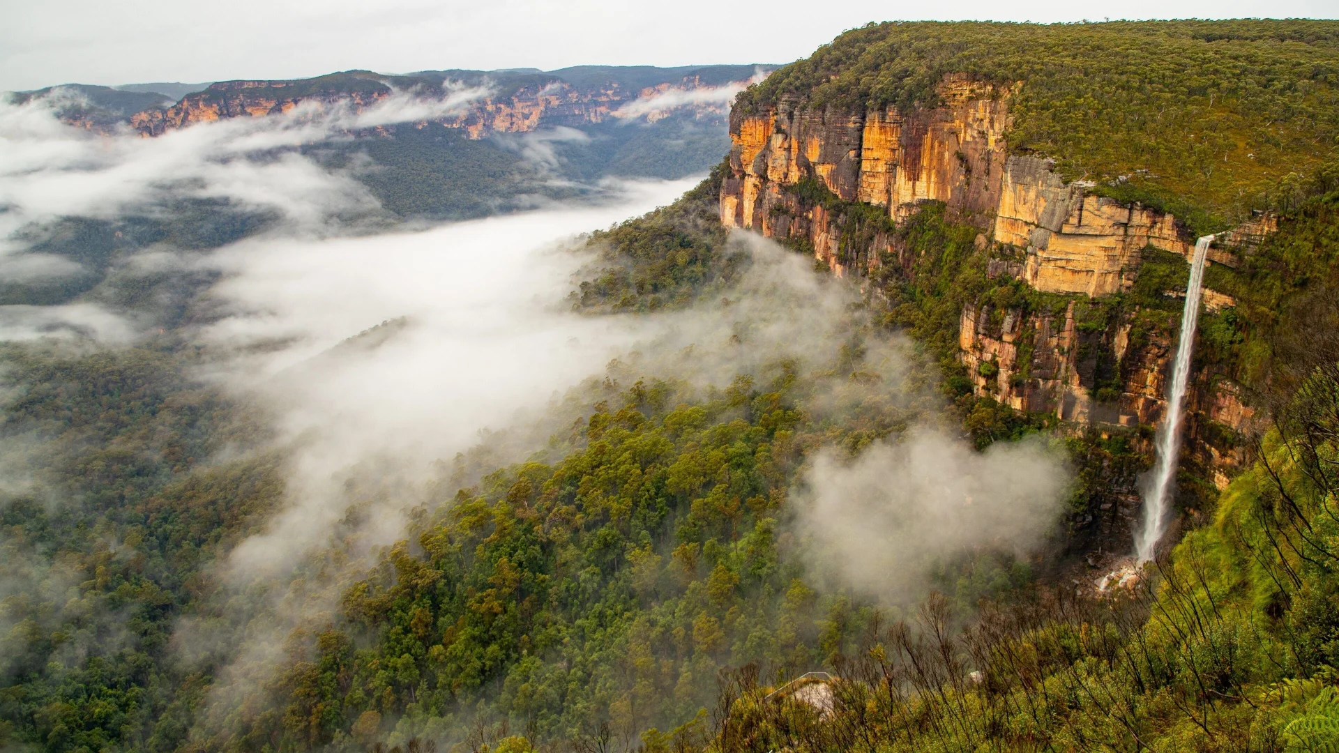 Govetts Leap at dawn