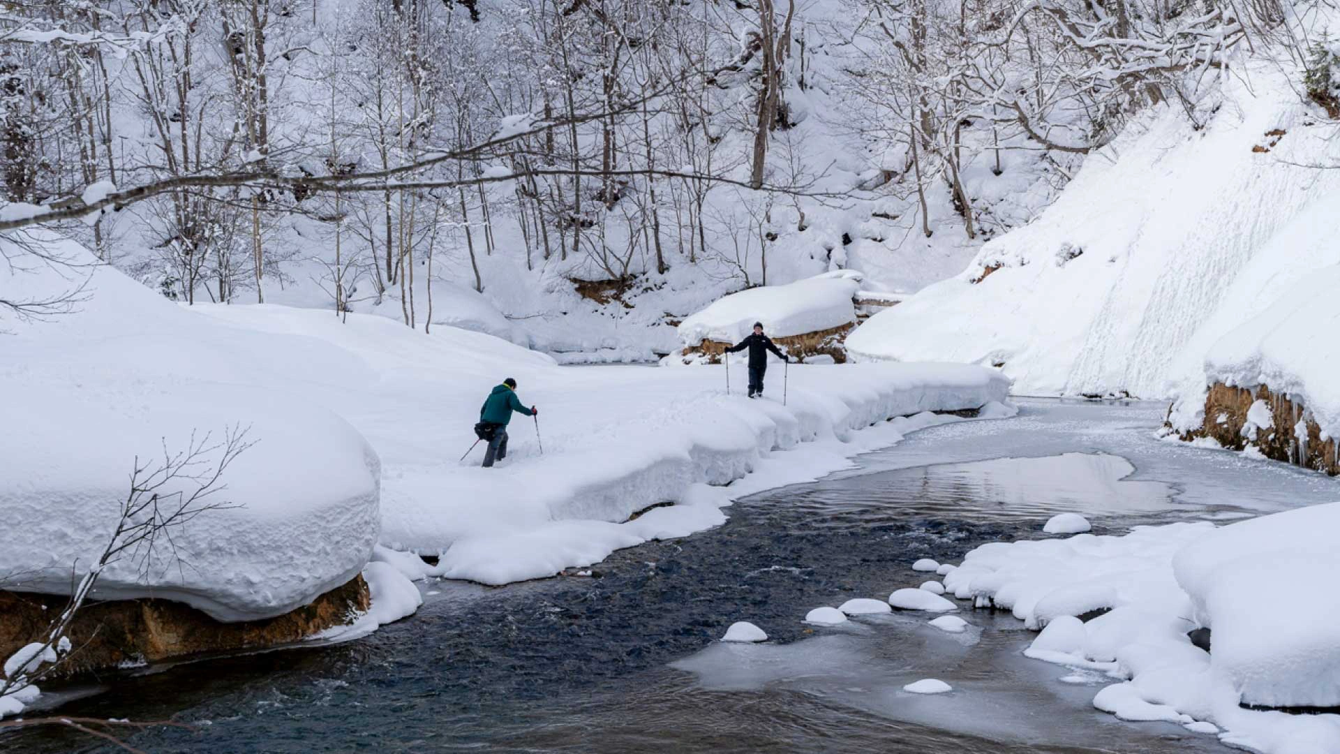 Scenic Nature Walks Through the Valley