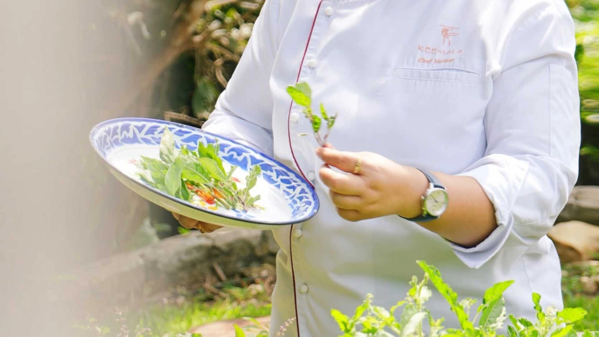 Cook With What the Garden Gives