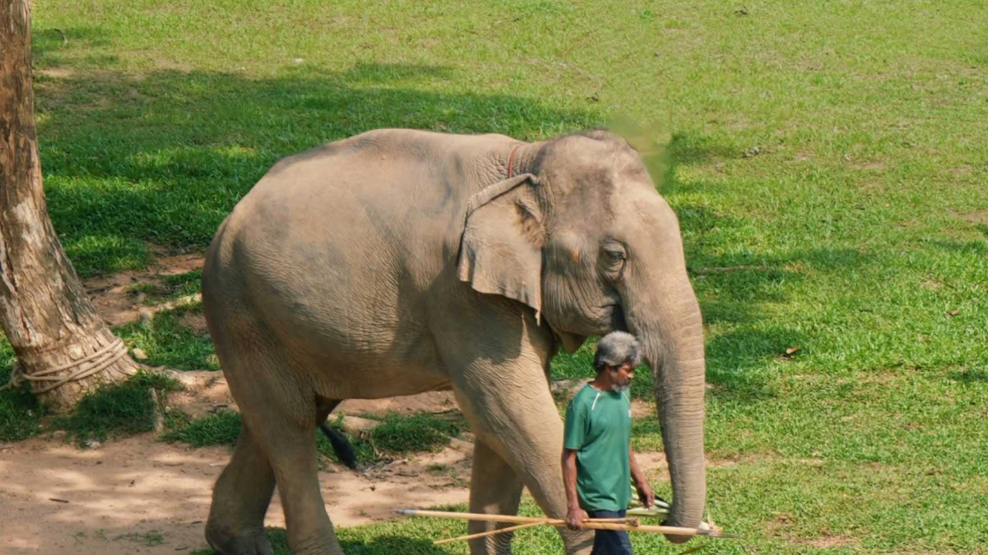 A Philosophy of Responsible Travel