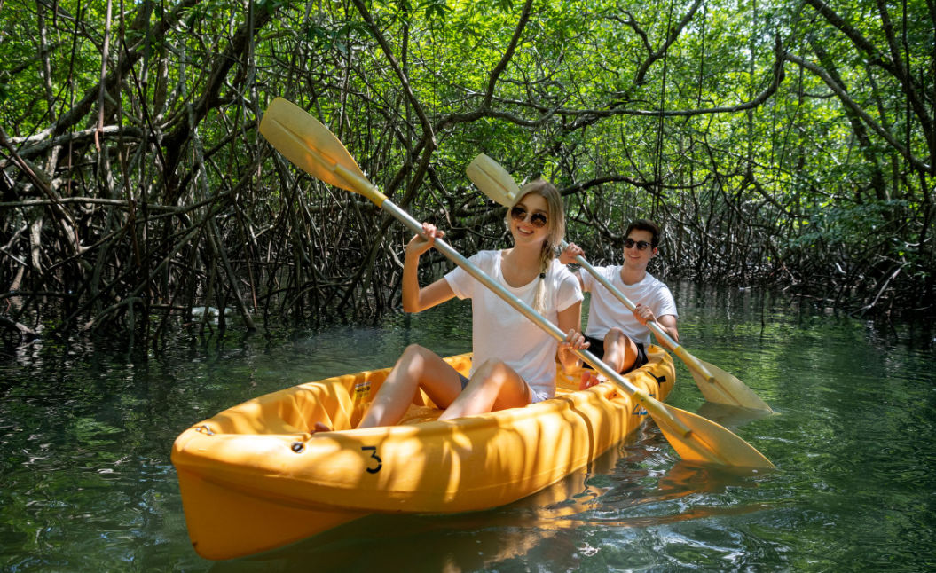 Mangrove Kayaking Programme