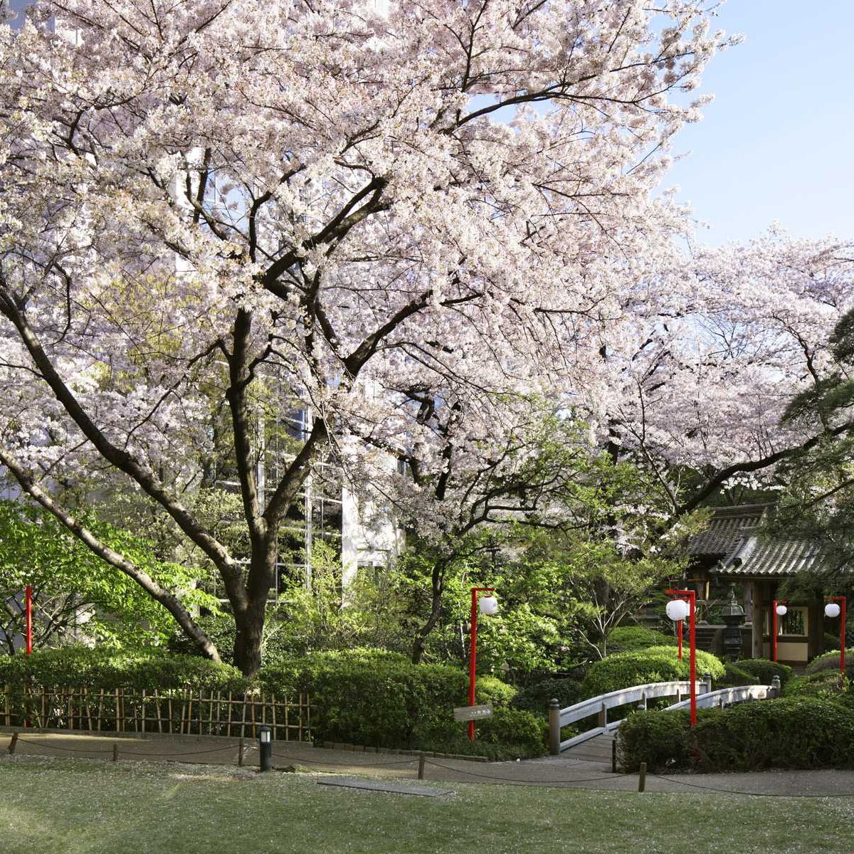 The Prince Sakura Tower Tokyo, Autograph Collection