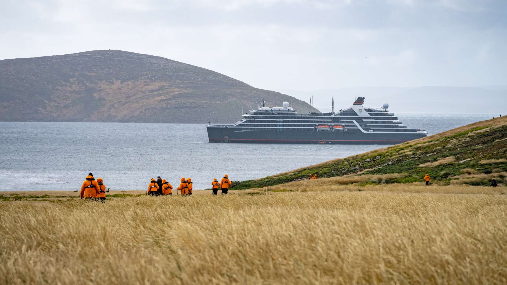 15 Days 14 Nights 
Wild South Atlantic and Falkland Islands