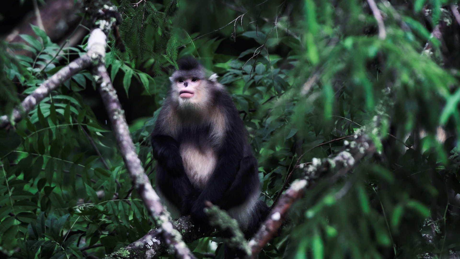 9 Days 8 Nights Exploring Three Parallel Rivers Yunnan Circuit