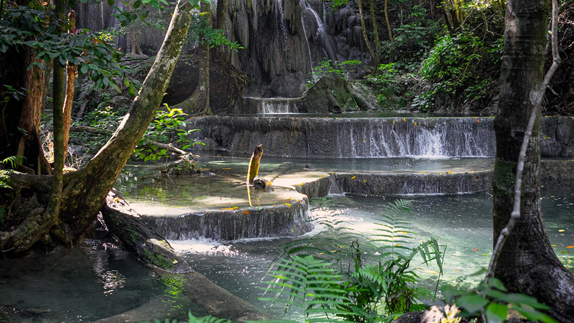 8 Days 7 Nights 
Komodo National Park & Bali Expedition