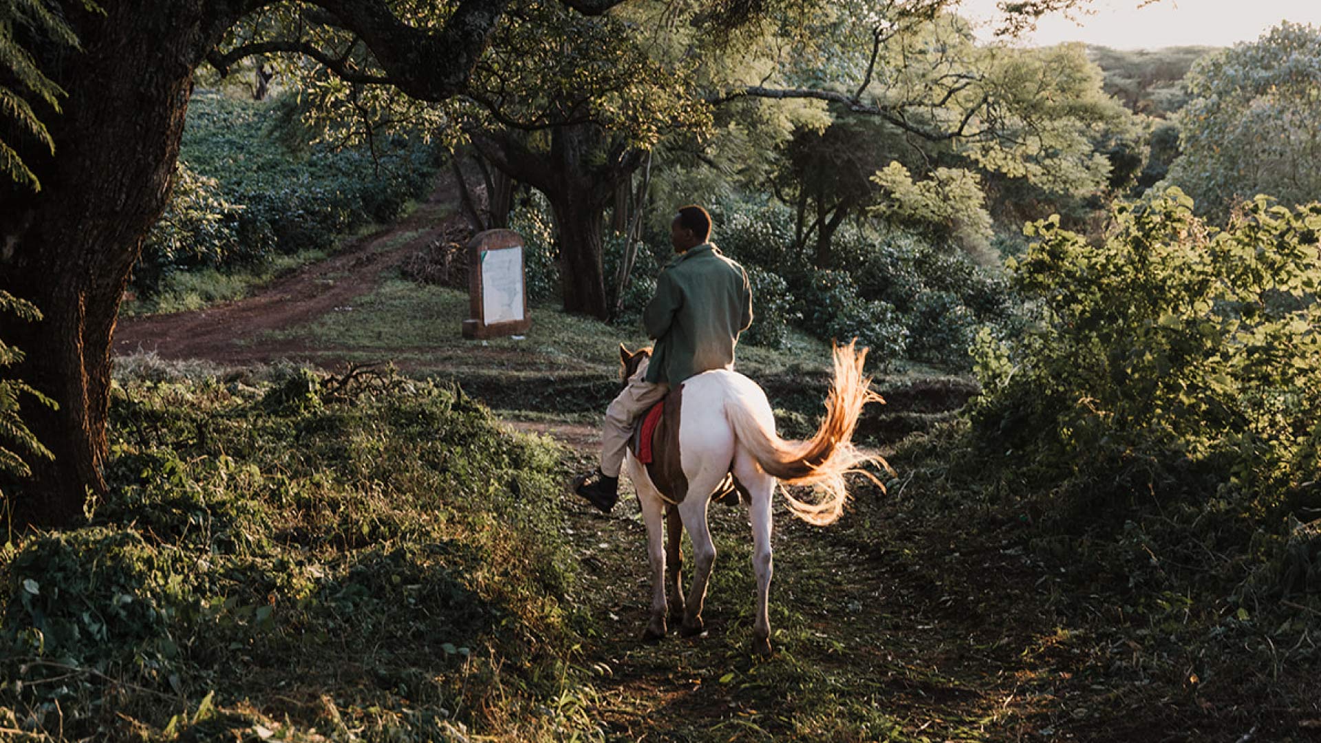 8 DAYS 7 NIGHT TANZANIA