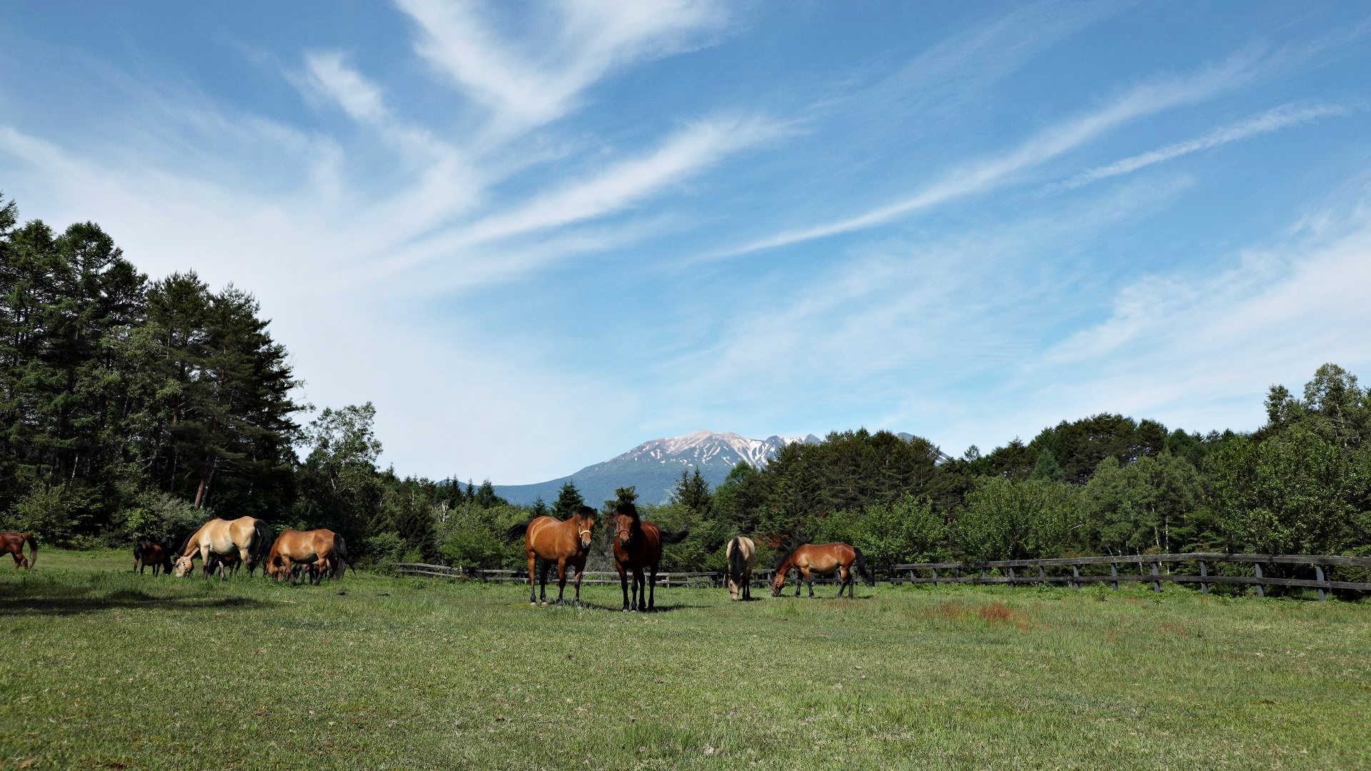 7 Days 6 Nights 
Nakasendo Exploration