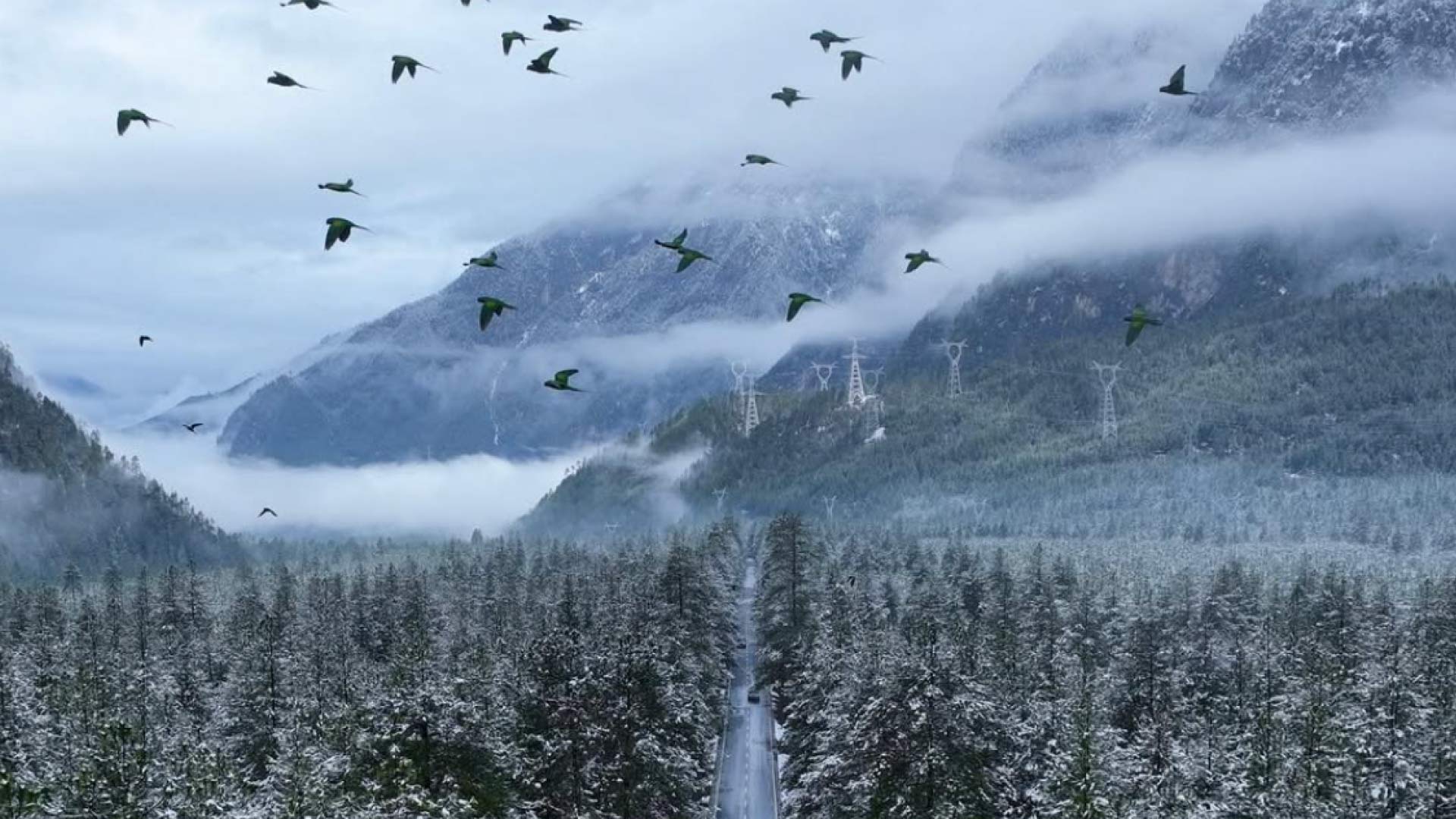 9 DAYS 8 NIGHTS
EXPLORING EASTERN TIBET